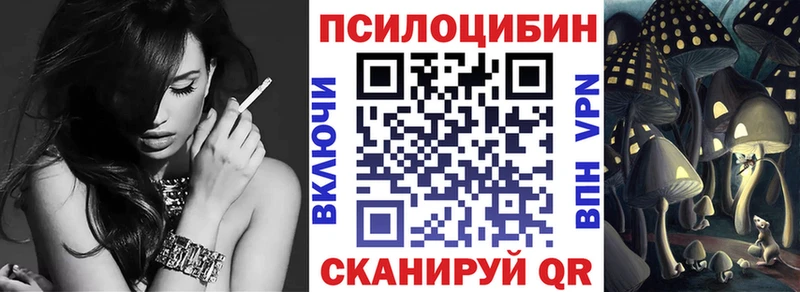 цены   Павловский Посад  Галлюциногенные грибы Cubensis 
