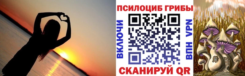 Галлюциногенные грибы MAGIC MUSHROOMS Павловский Посад